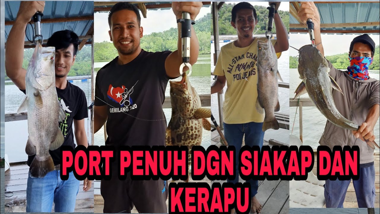 Kelong Othman Mat Kg. Bharu Lumut. Port terbaik strike siakap & kerapu
