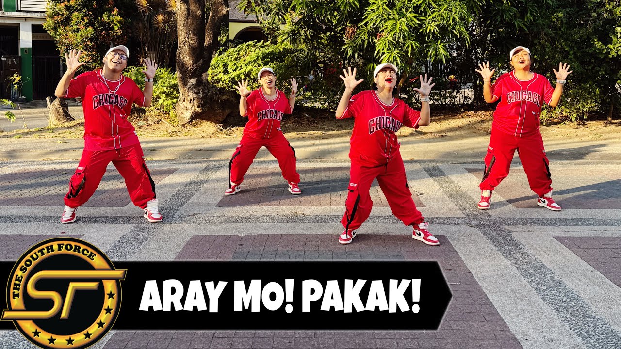 ARAY MO! PAKAK! ( Dj Choijay Remix ) - Dance Trends | Dance Fitness | South Force