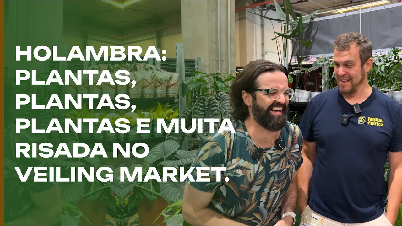 Holambra: o incrível Veiling Market.