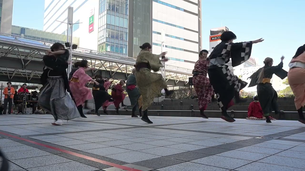 「弥栄牡丹」キタラ会場　第4回虹彩よさこい2026.3.8