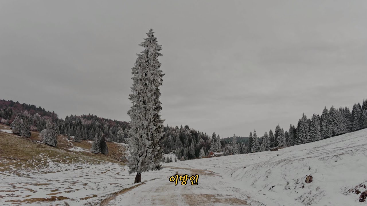 𝙋𝙡𝙖𝙮𝙡𝙞𝙨𝙩 | 겨울을 담은 전람회 2집 전곡 연속 듣기 | [Exhibition 2] Winter Playlist