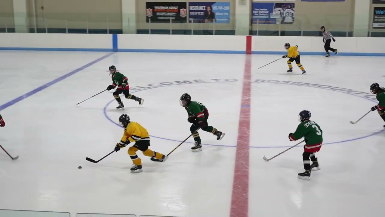 Wild vs. Bruins Game on March 15 2026