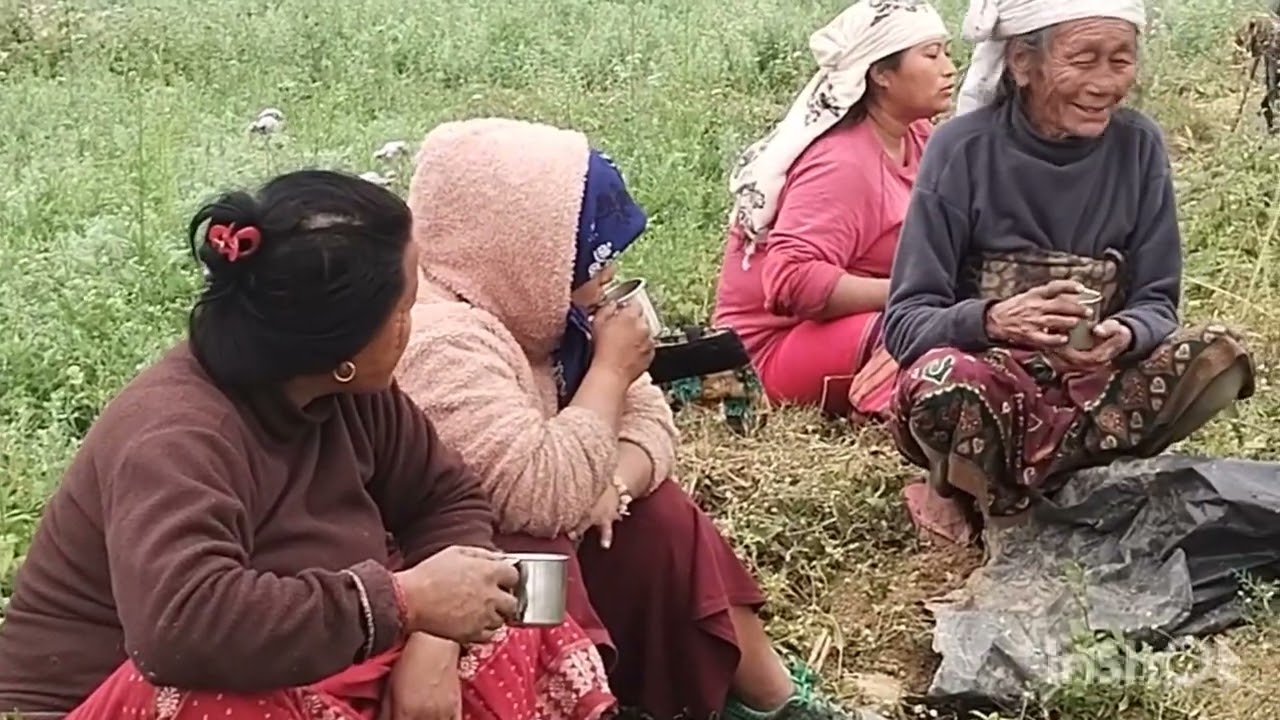farming, agriculture,