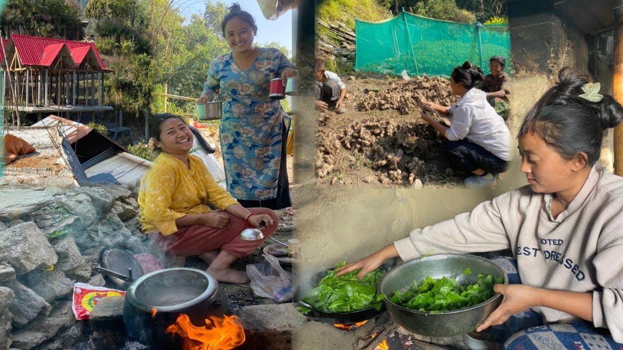 Aduwa falnu falcha  ama ko 10 mun vayacha organic khana homestay tin toki sakiyo@Oyevillagelife 