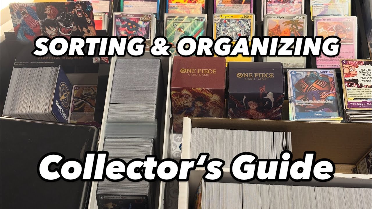 Collectors Must Watch! How to sort and organize your cards + OP09 Collection