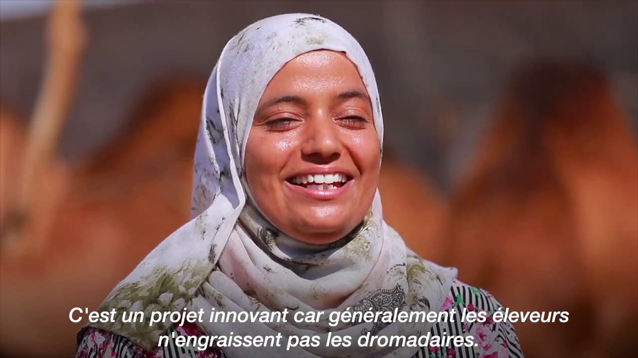 TUNISIA -la première femme à devenir éleveuse de chameaux.