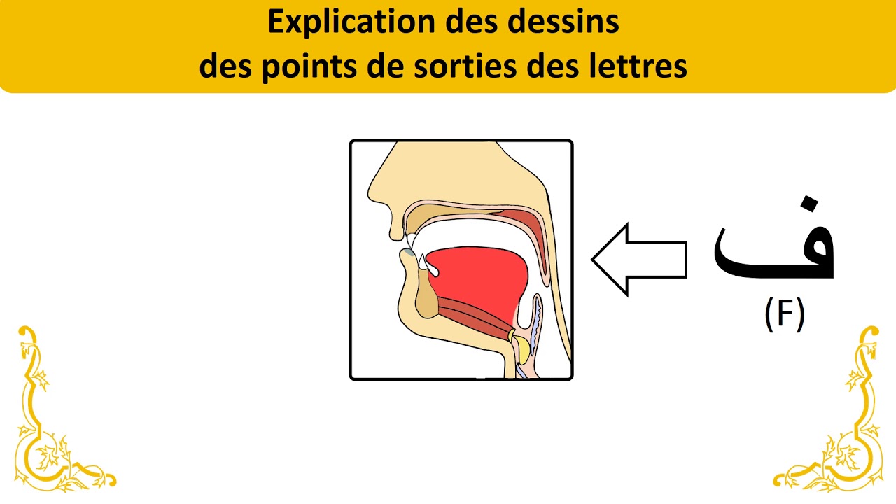 J'apprends la langue arabe facilement, vidéo 09 - Points de sortie