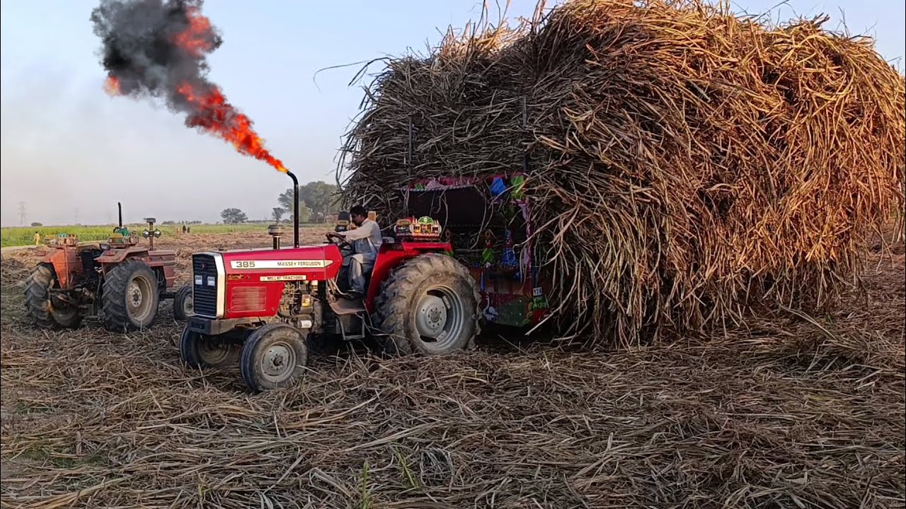 pakistani drivers talents | mf 385 tractor power stunts | tractor pulling sugarcane trolley