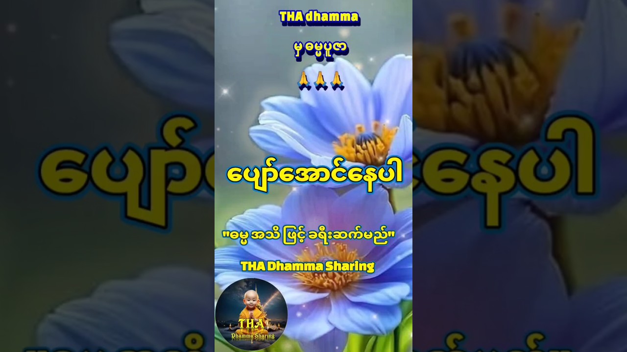 🙏🙏🙏 #တရားတော်များ #thadhamma #tha #မနက်တိုင်းဖွင့် #ညတိုင်းဖွင့် #မေတ္တာပို့ #tayar #တရားတို #love