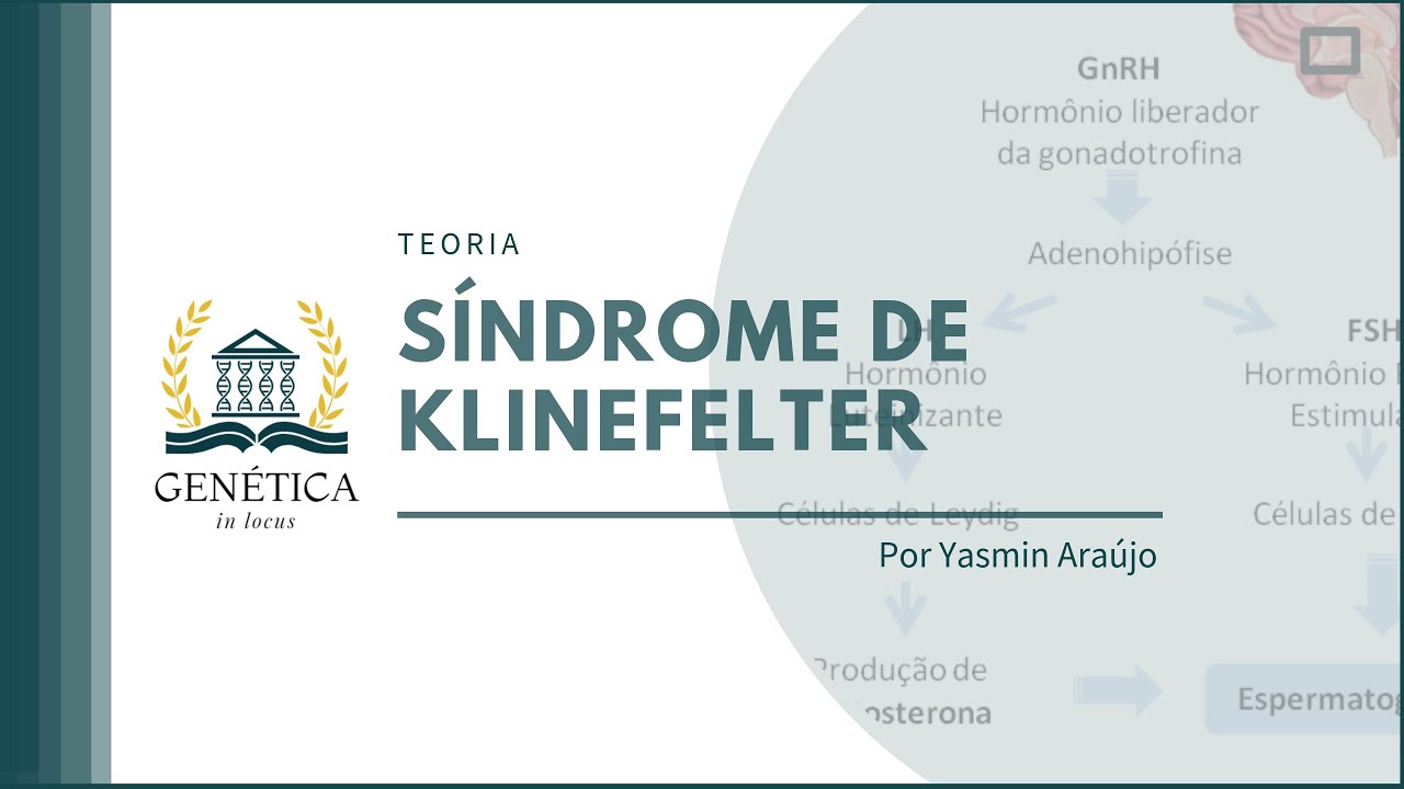 Teoria: Síndrome de Klinefelter
