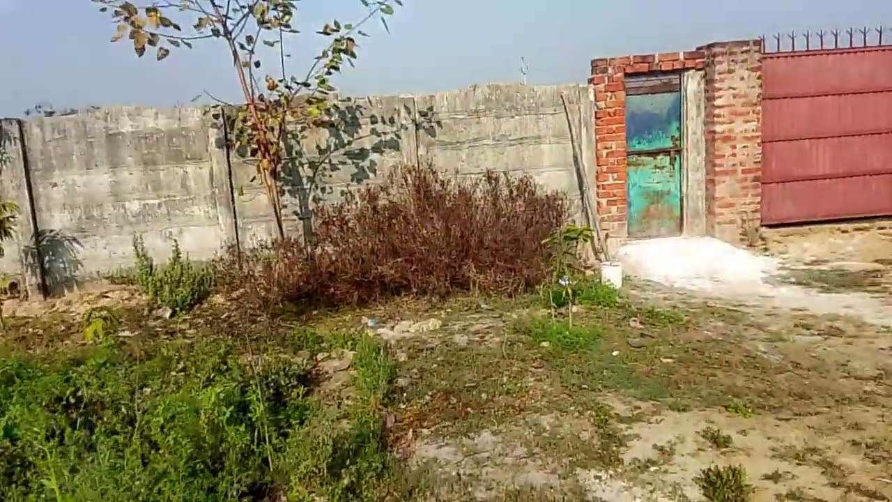 February 7, 2026 singh agro farm 
