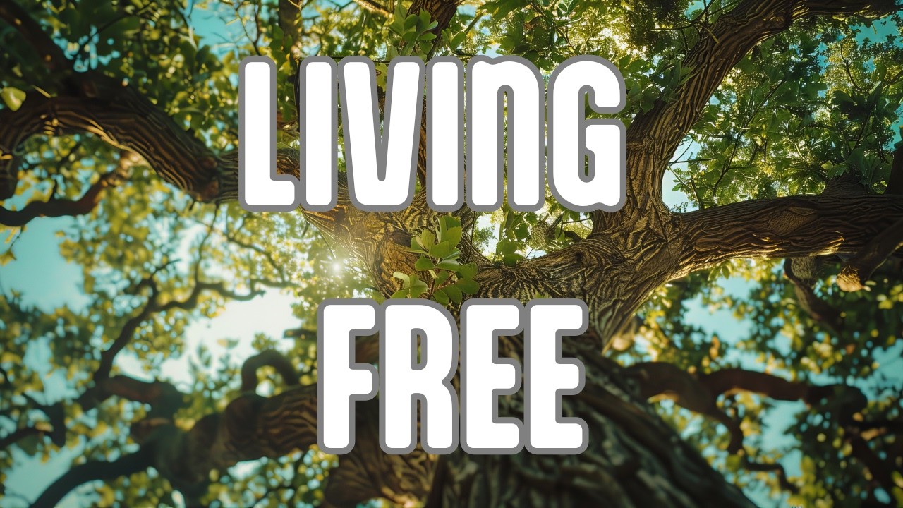 World Flesh Devil: The battle for our minds (15 March 2026)