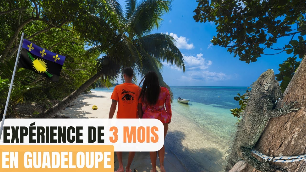 ON QUITTE LA MÉTROPOLE POUR VIVRE 3 MOIS EN GUADELOUPE... Logement, courses, intégration
