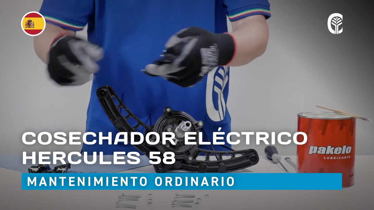 🇪🇸 Mantenimiento ordinario: CAMPAGNOLA HERCULES 58