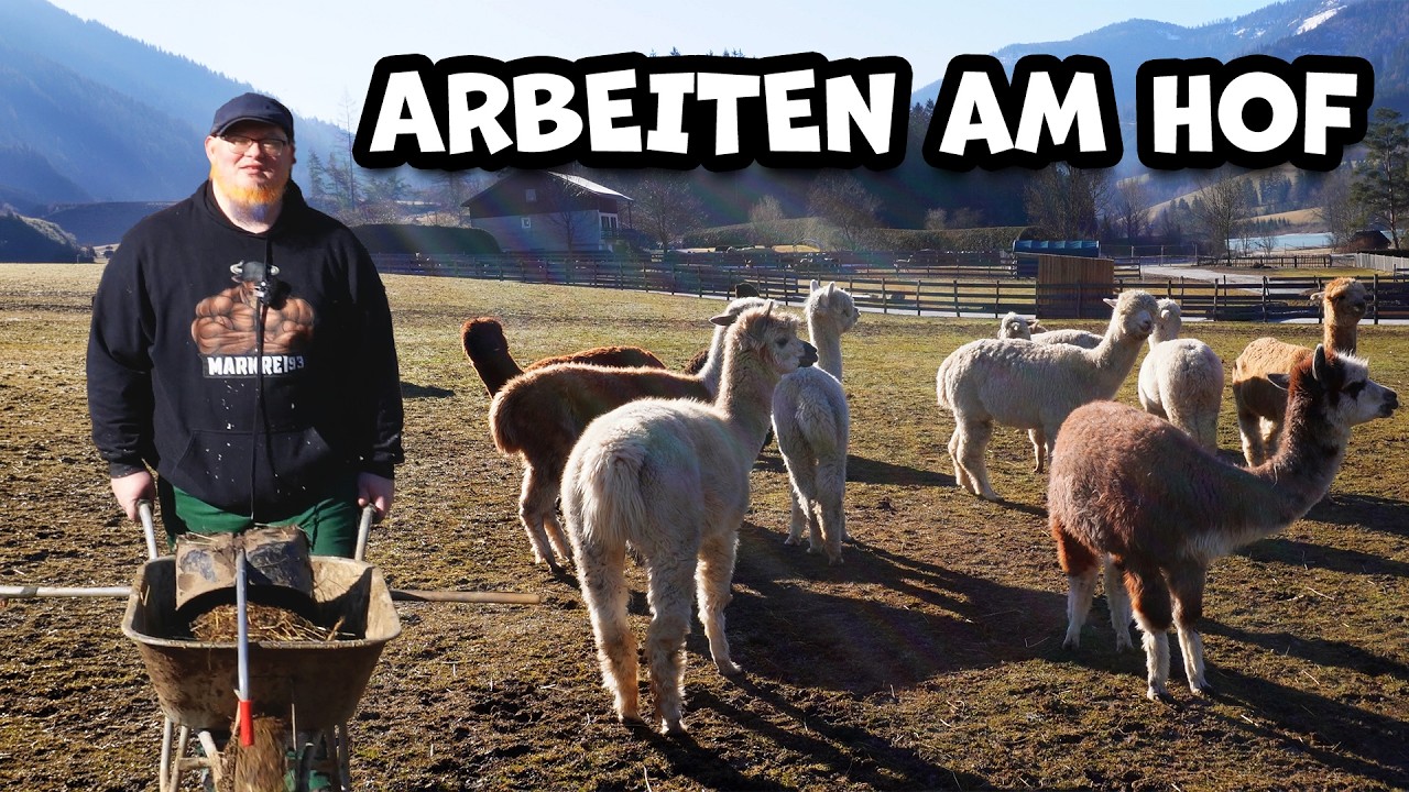 Ich schippe ALPAKA-SCHEISSE! 💩🦙 | MARKREI PACKT AN | Folge 1
