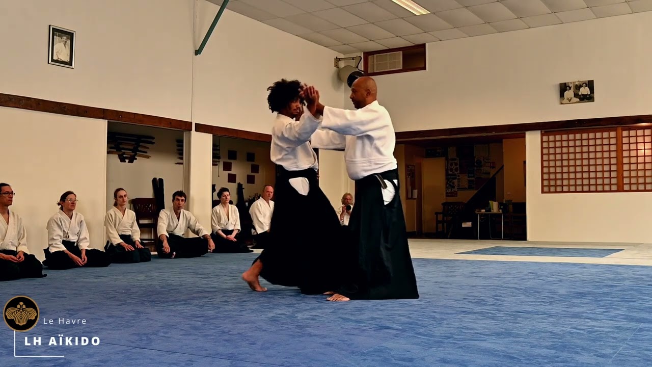 Aïkido : Mare Seye Shihan 6ème dan au Dojo VDB 2/3 : Aïkido (17 Mai 2025, 2ème partie)
