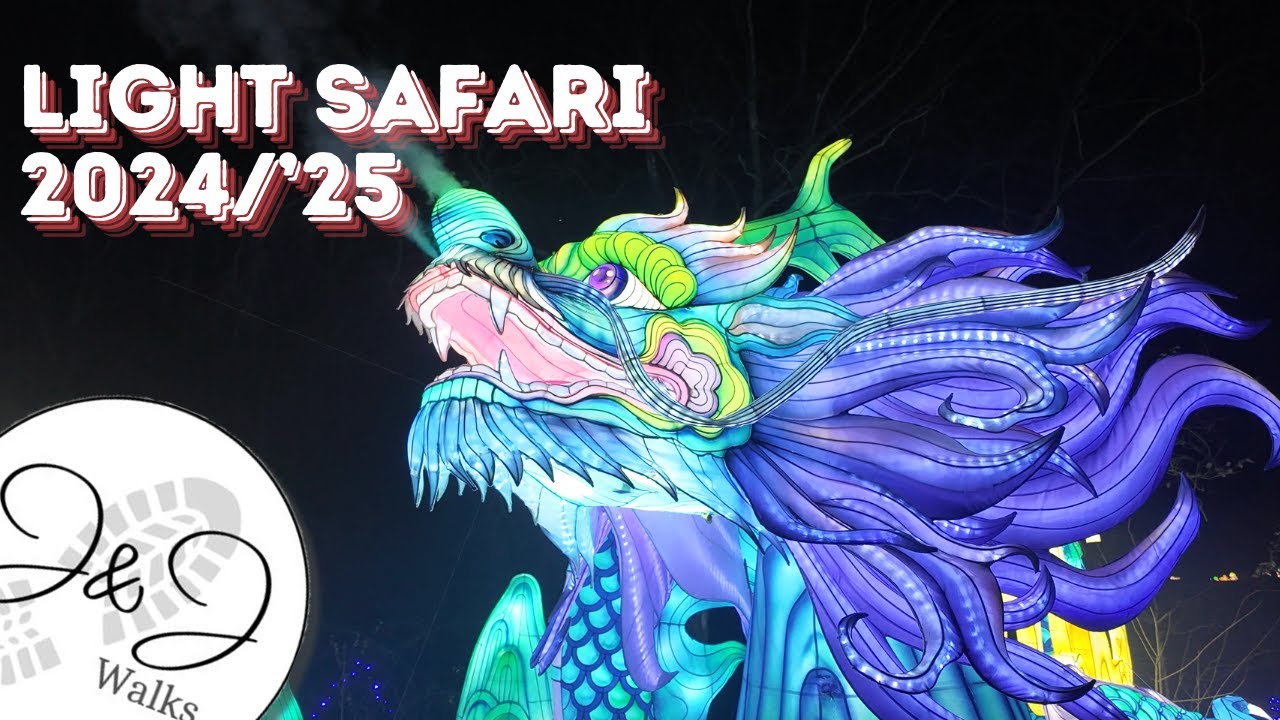 Light Safari 2024/'25: A full walkthrough of the Safaripark Beekse Bergen winter event