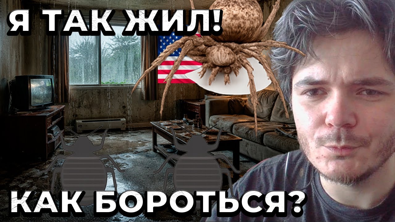Маргинал про жизнь с клопами в США
