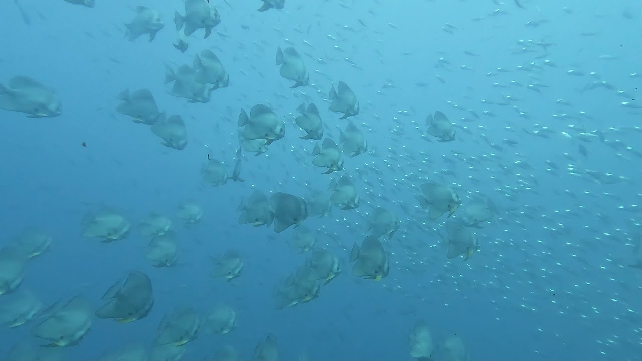 Isola di Nosy Be - Madagascar 2025
