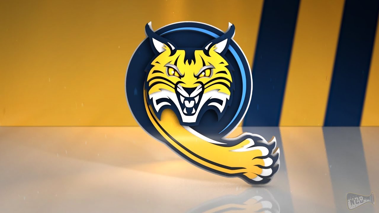 Quinnipiac University Bobcats 2018-19 Goal Horn