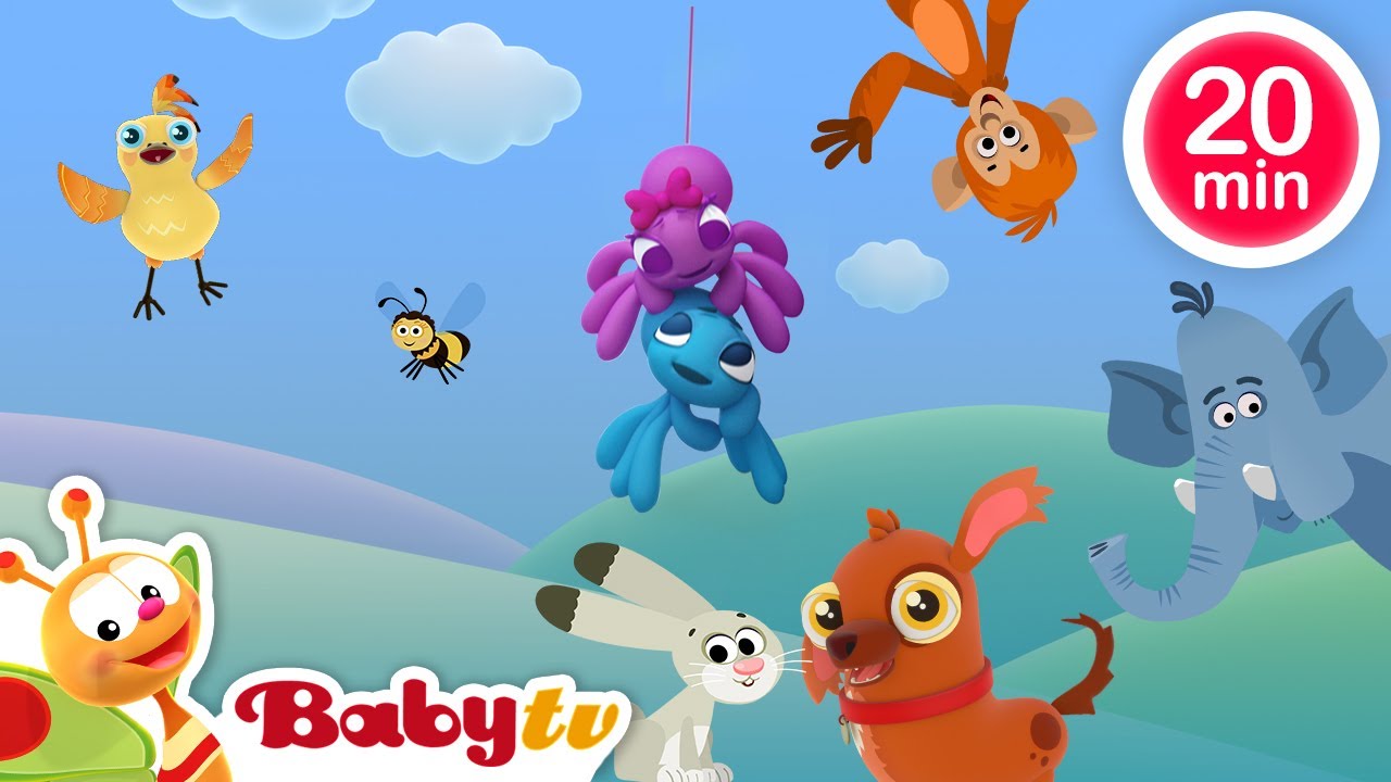 Itsy Bitsy Spinnetje 🕷️+ Meer kinderliedjes en kinderliedjes | Dierenliedjes voor kinderen @BabyTVNL