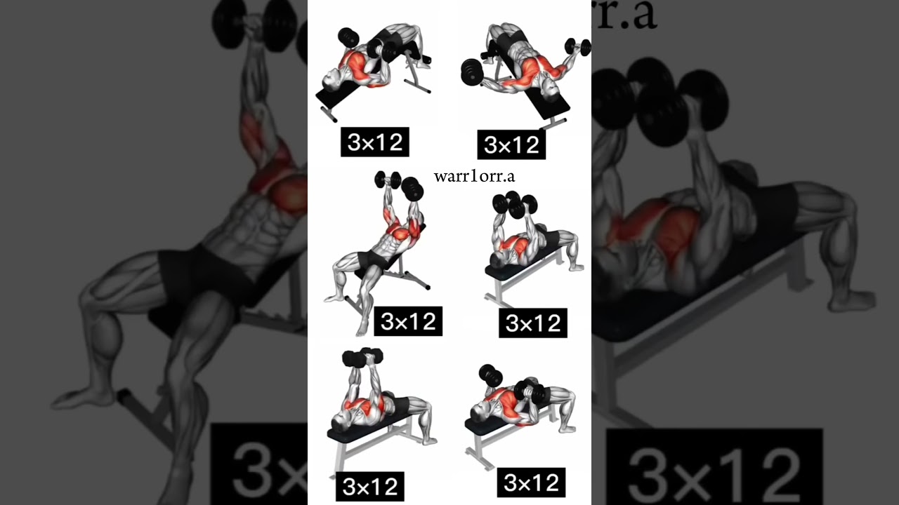 как накачать грудь гантелями  #motivation #discipline #training #shorts #gym