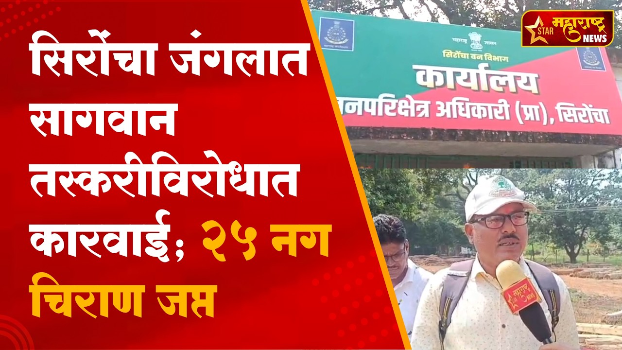 सिरोंचा जंगलात सागवान तस्करीविरोधात कारवाई; २५ नग चिराण जप्त
