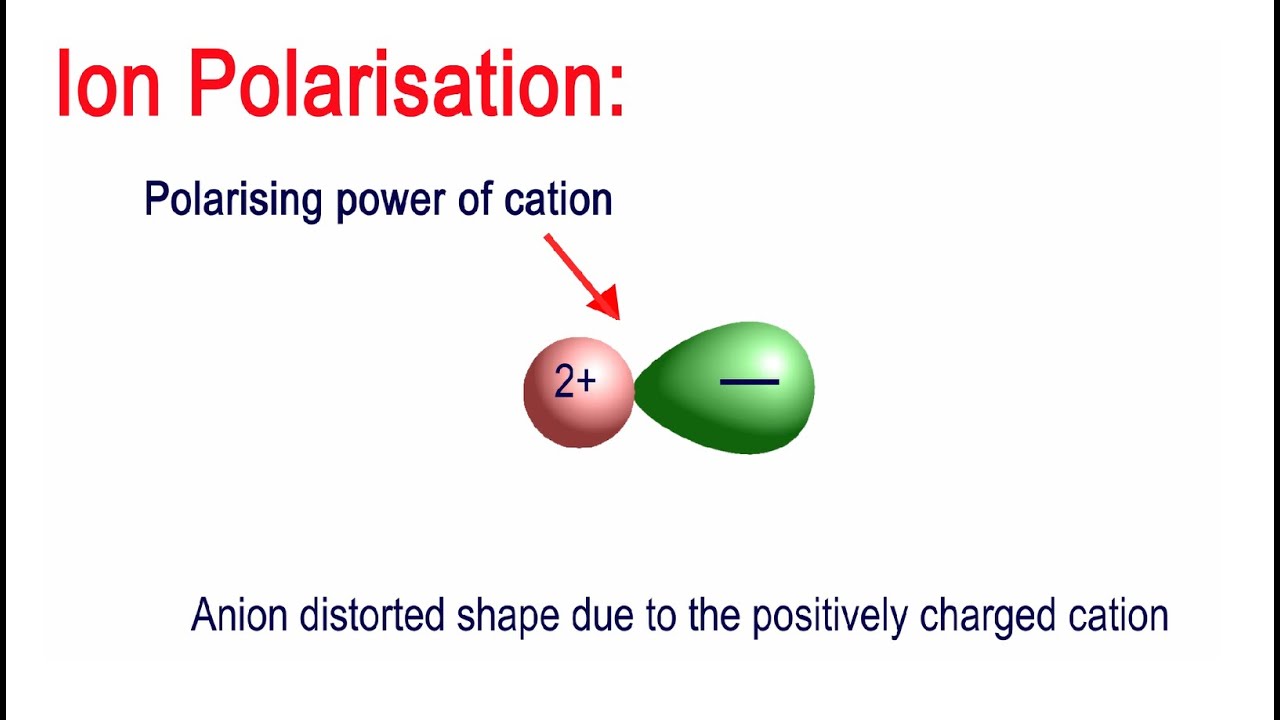 What is Ion Polarization? And what are the factors affecting it?
