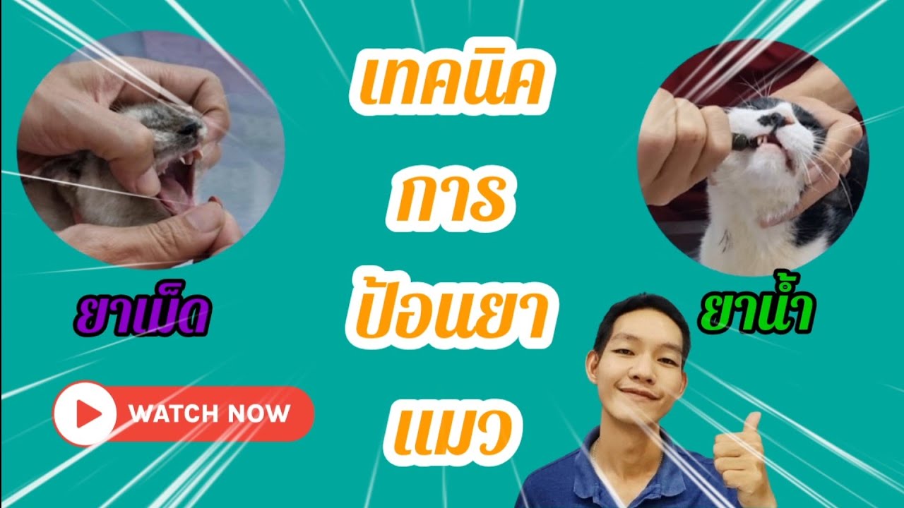 แชร์เทคนิคการป้อนยาแมว@หมอดี๊ด๊า 