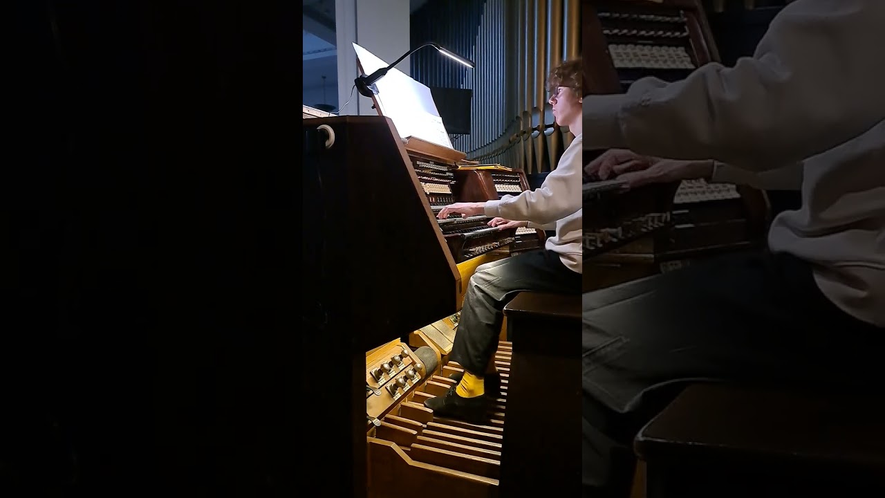 J. S. Bach Trio Sonata in e moll - II Andante