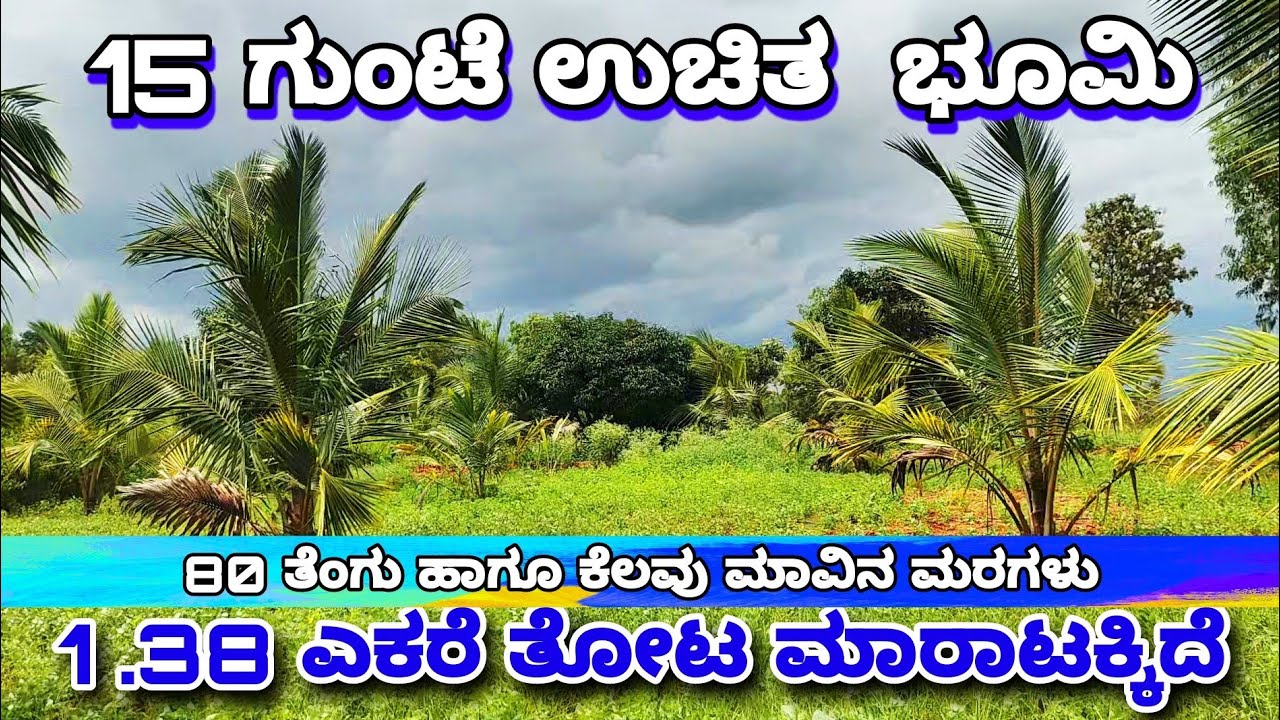 15 Gunte Free Land, 1.38 Acre Farm Land Sale in Channapatna, Near Bengaluru, Charan 7338474634