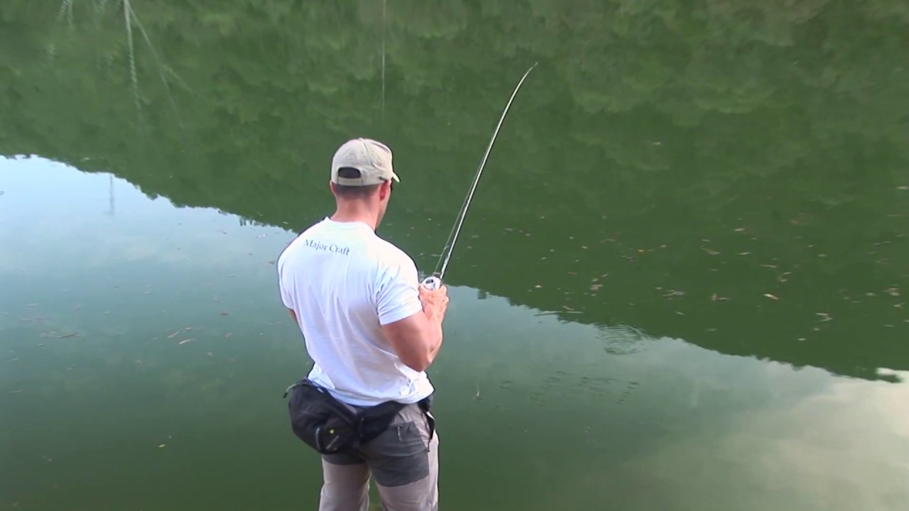 BLACK BASS  en Guillena