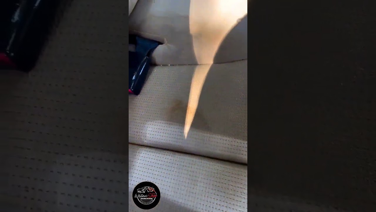 Best Way To EXTRACT Car Seats #shorts #asmr #satisfying