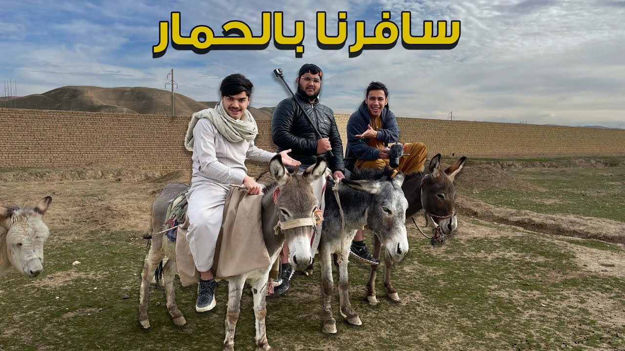 تجربة السفر بالحمار | لأول مرة على اليوتيوب