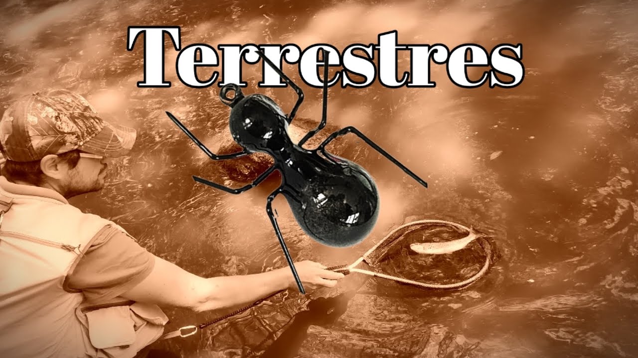 Montaje de moscas: Hormigas sin alas realista. Ants fly tying. Atado de terrestres.