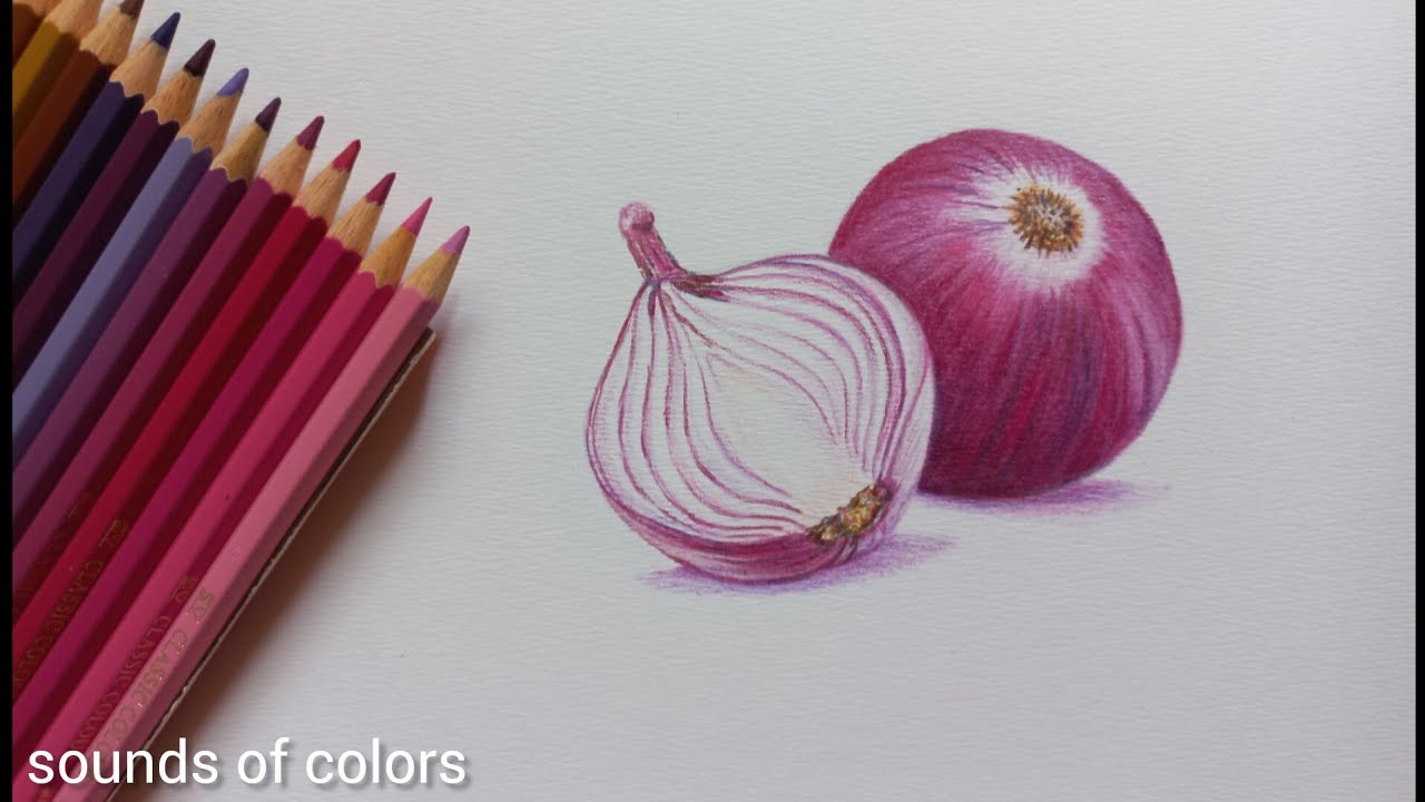 Realistic onion drawing with colour pencils | step by step drawing