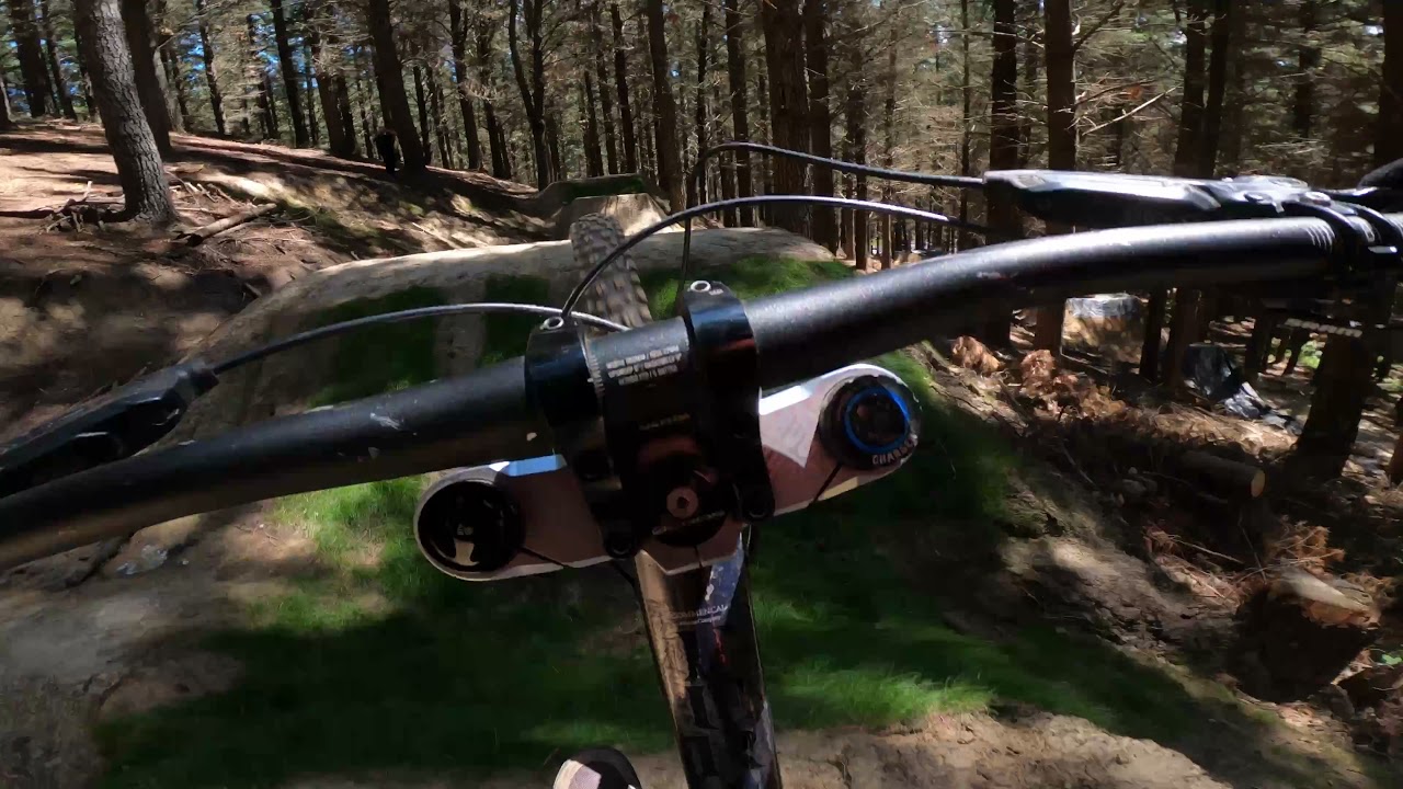 Finally Linking all of O-Zone- Christchurch Adventure Park