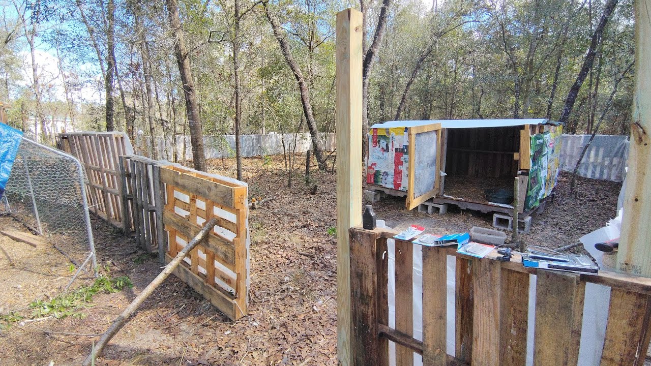 Building a chicken run out of pallets 