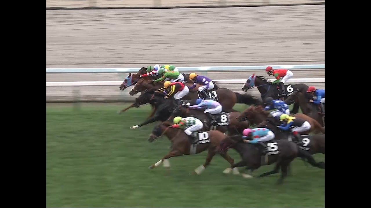 【札幌競馬】UHB賞は0.1秒に9頭がひしめく接戦！ “ハナ・ハナ・ハナ・アタマ・アタマ・ハナ・ハナ・クビ・クビ・クビ・クビ差”を制したのはフィオライア