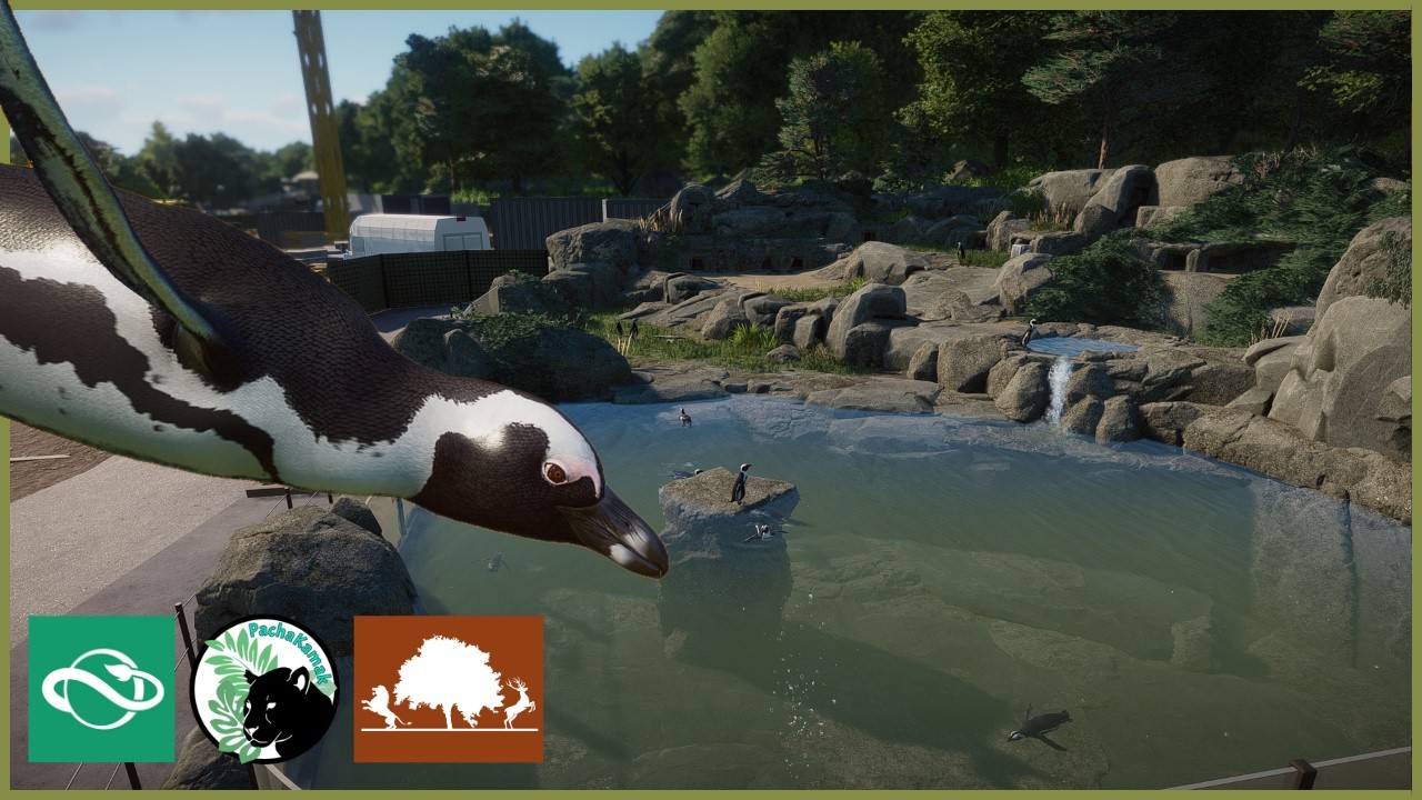 Making a splash with AFRICAN PENGUINS | Tiergarten Edelwald | Planet Zoo | #42