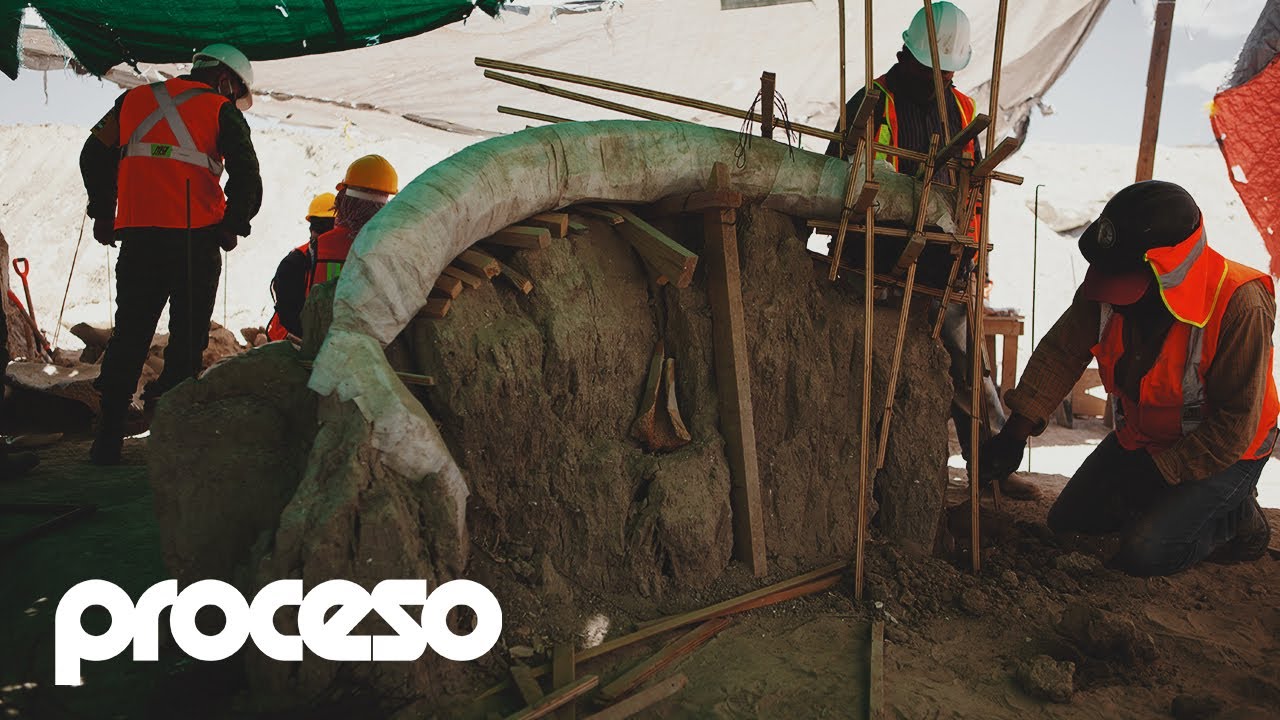 Mamuts en el aeropuerto: El yacimiento más rico en América Latina