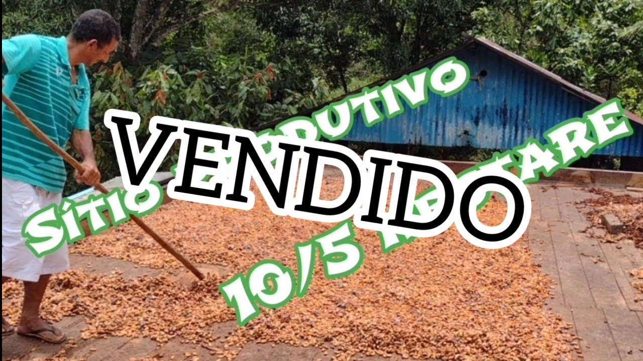 Sítio de Dez hectare e meia linda plantação de cacau muito produtivo  (VENDIDO)