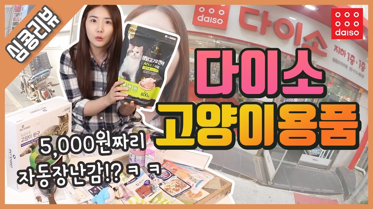 다이소하울 고양이용품 털어왔어요~