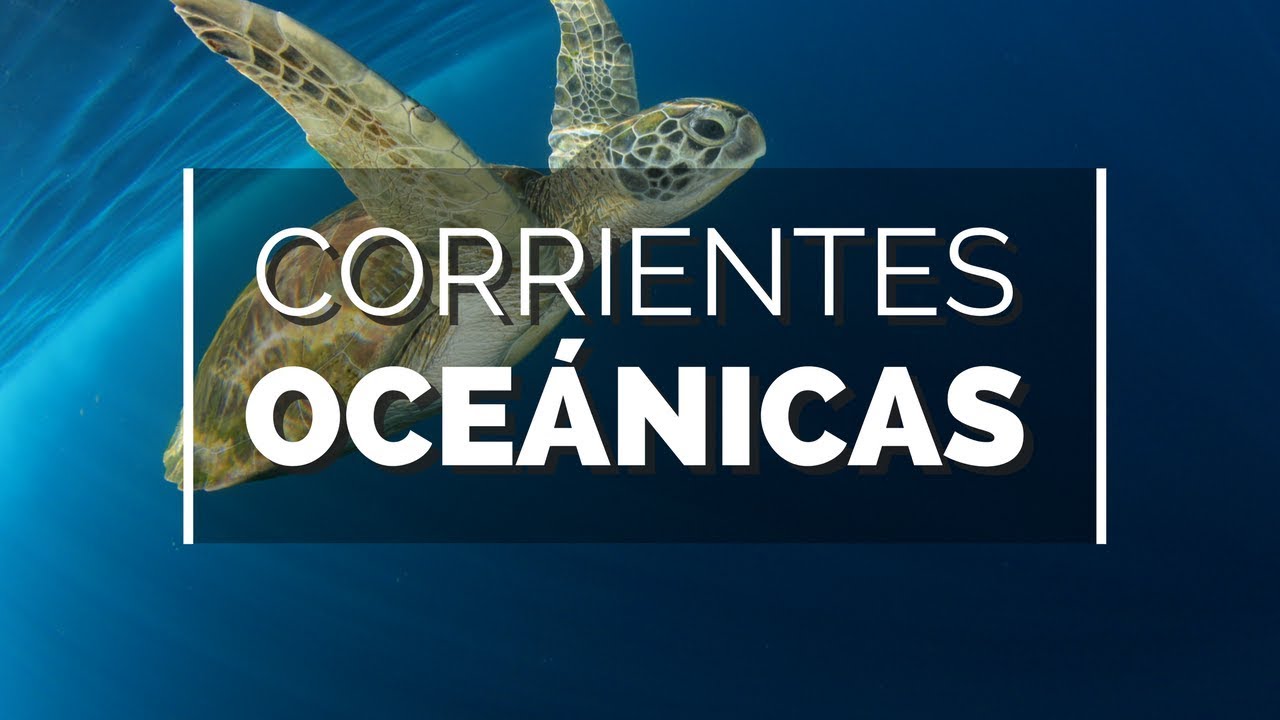 Alerta Azul: Tierra Viva #11