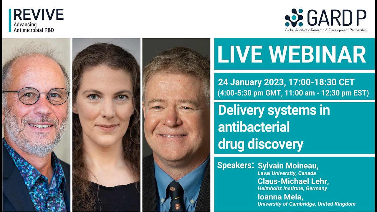 Delivery systems in antibacterial drug discovery