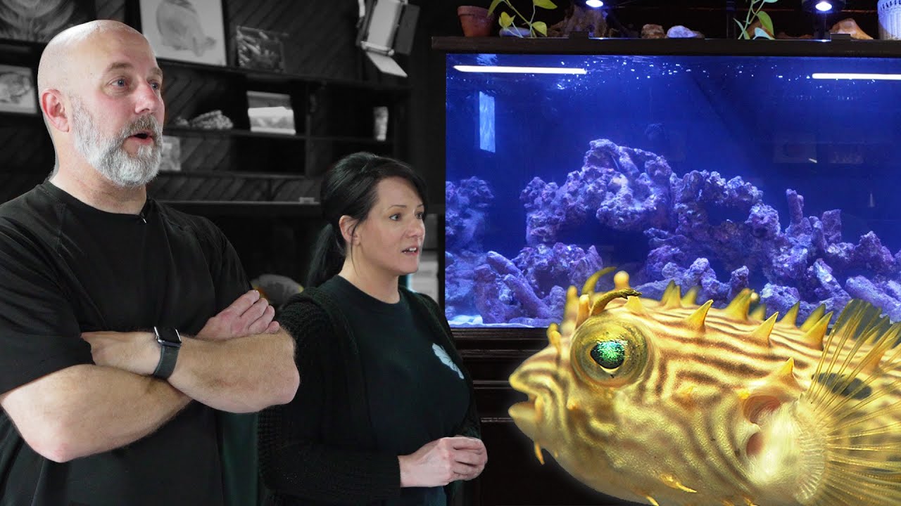 KGTropicals GOES BIG On FIRST SALTWATER TANK!