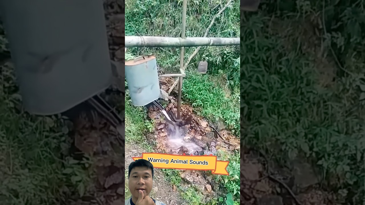 Creating sounds to scare away animals that damage crops. Very unique. 