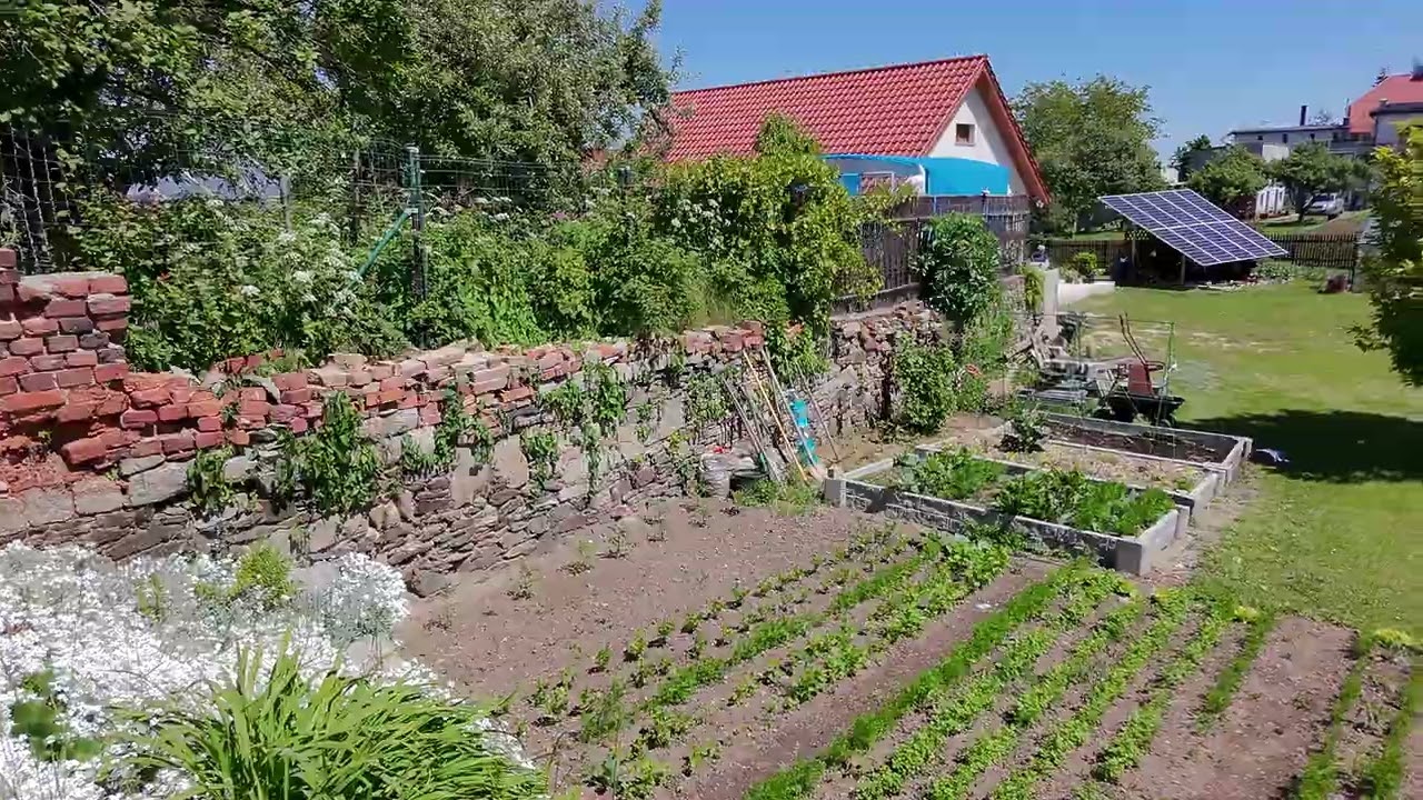 Ogród - maj 2025