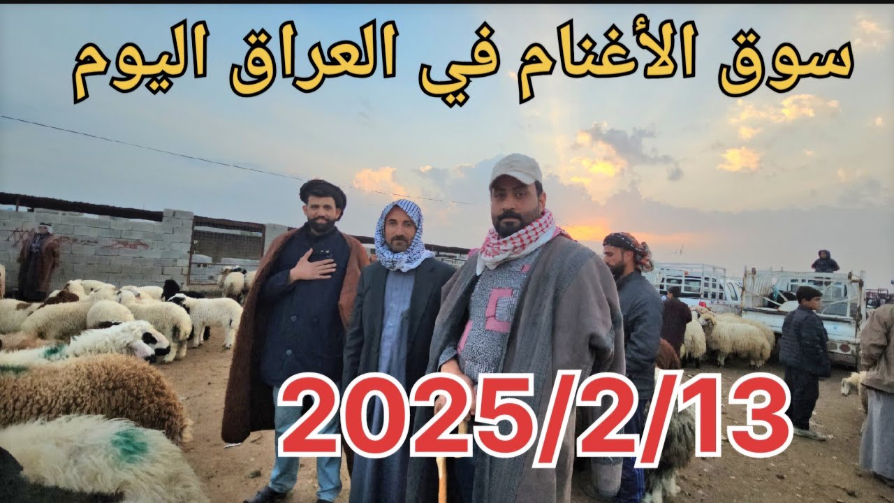 #سوق_الأغنام في العراق سوق محافظة ديالى وسط العراق