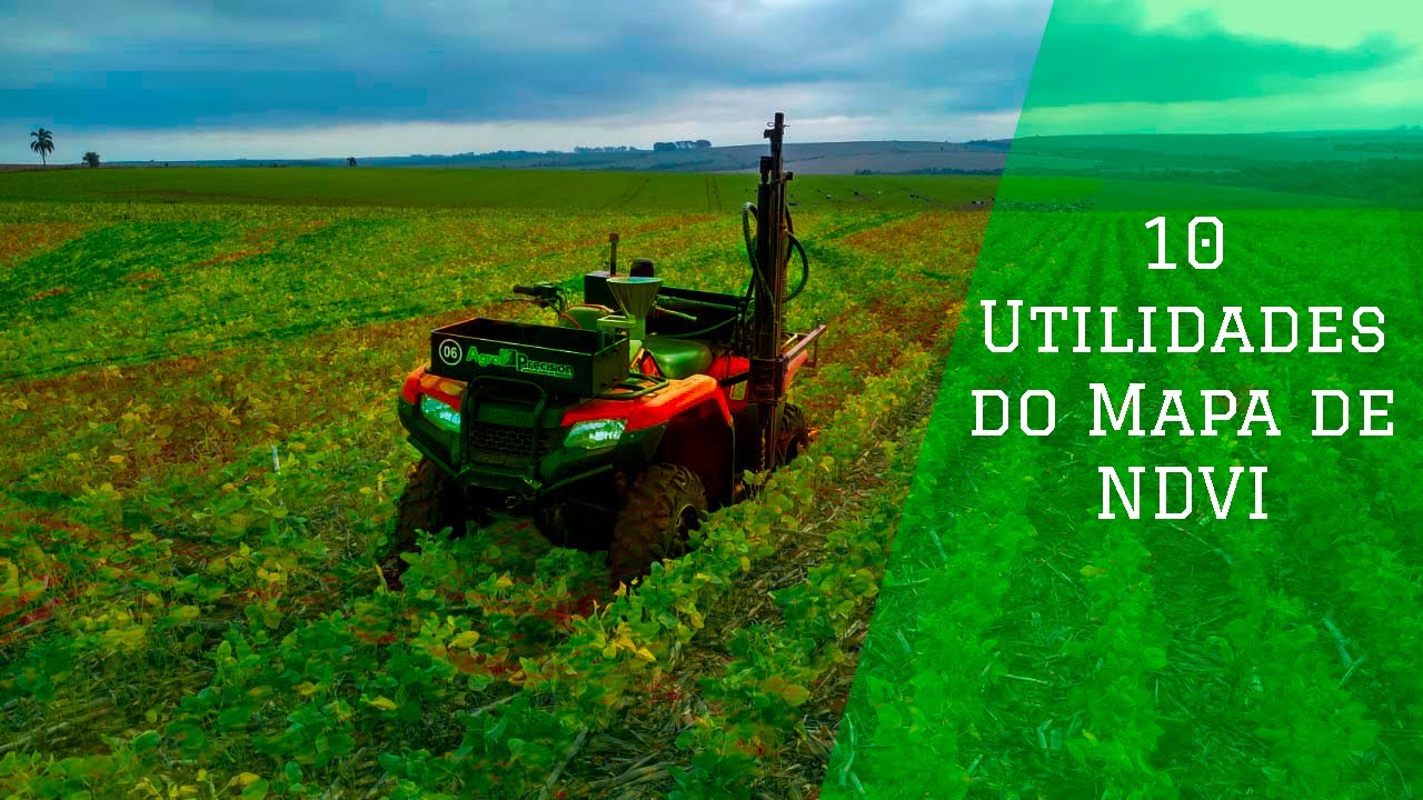 10 utilidades do mapa de NDVI